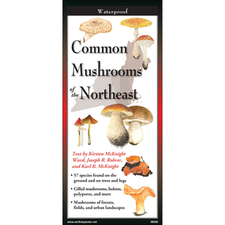 Compact laminated guide featuring illustrated mushrooms native to the Northeast.