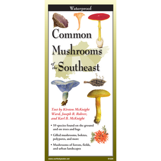 Pocket field guide featuring illustrated common mushrooms found across the Southeast region.