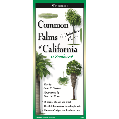 alan palm plant Common Palms of California & Southwest