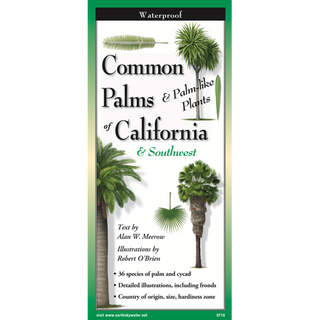 Durable laminated field guide featuring illustrated palms and palm-like plants of California and the Southwest.