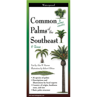Waterproof laminated guide featuring common palms of Southeast Texas.
