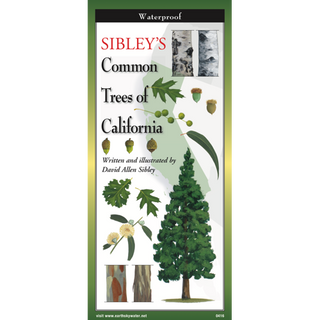 Compact laminated guide featuring common trees native to California; built for field use.