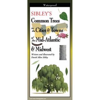 Compact folding guide featuring trees commonly found in cities and towns across the Mid-Atlantic and Midwest.