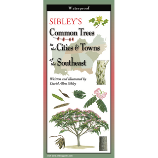 Durable folding guide showing common trees in cities and towns of the Southeast.
