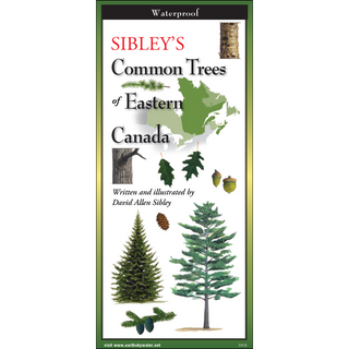 Lightweight waterproof field guide featuring common trees of Eastern Canada.