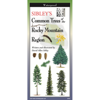 Durable laminated pocket guide showcasing common trees of the Rocky Mountain region.
