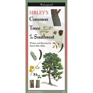 Pocket-sized guide with expert illustrations of common trees found in the Southwest.