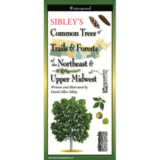 Compact laminated guide with expert illustrations of trees along trails and forests of the Northeast and Upper Midwest.