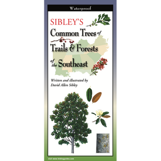 Compact laminated guide with expert illustrations of trees along trails and forests of the Southeast.