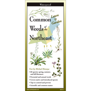 Pocket field guide with detailed illustrations of common weeds found throughout the Northeast.