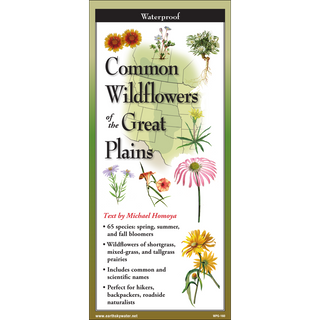 Compact pocket guide featuring colorful wildflowers of the Great Plains.