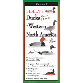 Durable waterproof field guide showcasing ducks, geese, and swans of Western North America.