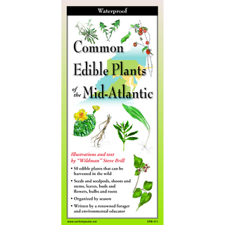 Waterproof pocket field guide with clear illustrations of edible plants found in the Mid-Atlantic.