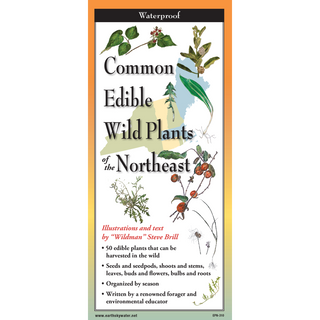 Compact pocket field guide with detailed illustrations of edible wild plants native to the Northeast.