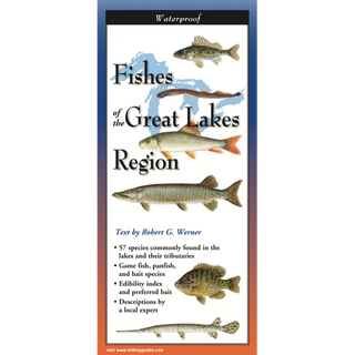 Pocket field guide featuring illustrated fishes native to the Great Lakes region.