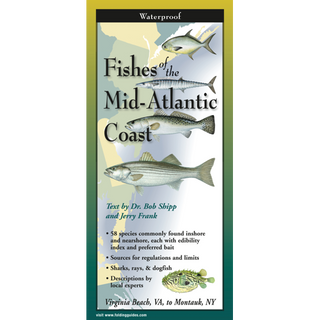 Pocket field guide featuring illustrated fishes of the Mid-Atlantic Coast.