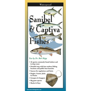 Pocket-sized laminated guide showcasing tropical fishes of Sanibel and Captiva Islands.
