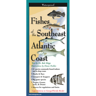 Durable pocket guide featuring illustrated fishes of the Southeast Atlantic Coast.