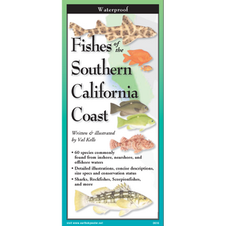 Portable field guide showcasing vividly illustrated fishes of the Southern California coast.