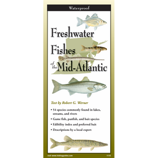 Lightweight laminated guide showing freshwater fishes native to the Mid-Atlantic region.