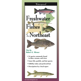 Compact folding guide featuring freshwater fishes found throughout the Northeast.