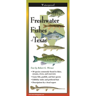 Pocket field guide featuring freshwater fishes found throughout Texas.