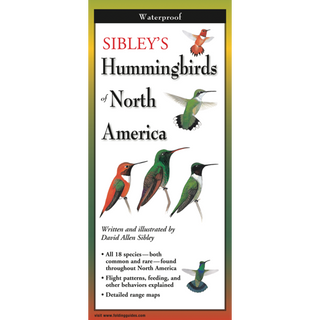 Expertly illustrated pocket guide showcasing hummingbird species across North America.