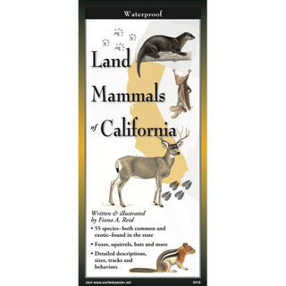 Lightweight pocket guide featuring illustrated land mammals found in California.