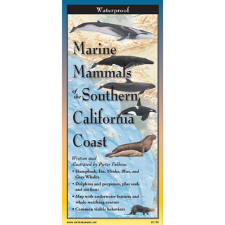 Pocket field guide featuring marine mammals of the Southern California coast; waterproof and light.