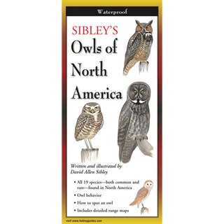 Adventure-ready folding guide featuring illustrated owls found across North America.