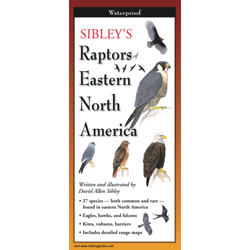 FoldingGuides™ - Sibley's Raptors of Eastern North America – Earth Sky ...