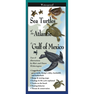 Pocket field guide showcasing sea turtles of the Atlantic and Gulf of Mexico; waterproof and durable.