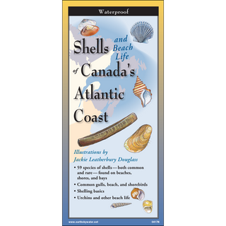 Compact laminated guide showcasing shells and beach life along Canada’s Atlantic Coast.