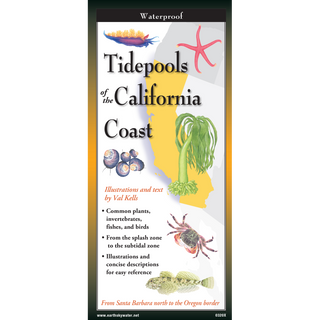 Durable waterproof guide exploring tidepools and marine life along the California Coast.