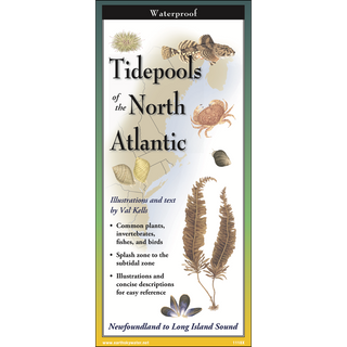 Waterproof laminated guide exploring tidepools and marine species of the North Atlantic.