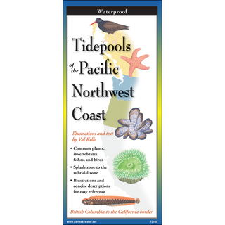 Compact folding guide with vivid illustrations of tidepool life along the Pacific Northwest Coast.