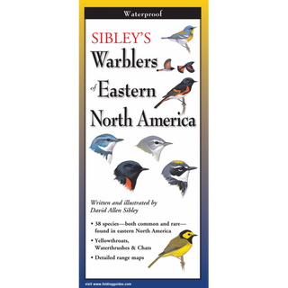 Pocket field guide designed for identifying warblers of Eastern North America.