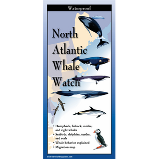 Lightweight folding guide highlighting whale species across the North Atlantic; perfect for travel.