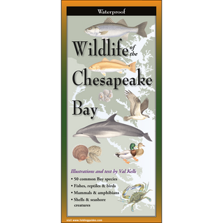 Waterproof pocket guide highlighting diverse wildlife of the Chesapeake Bay region.