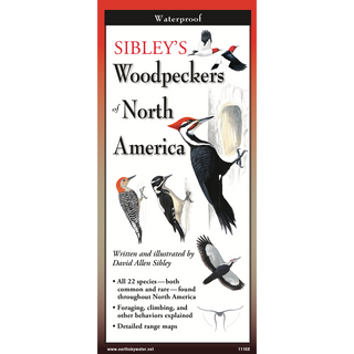 Lightweight folding guide featuring beautifully illustrated woodpeckers of North America.