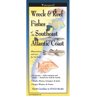 Waterproof field guide highlighting wreck and reef fishes along the Southeast Atlantic Coast.