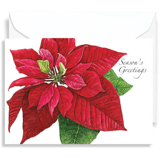 Poinsettia greeting card with rich seasonal color, made in the USA using recycled paper
