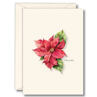 Poinsettia notecard showcasing a classic holiday plant, printed on recycled paper
