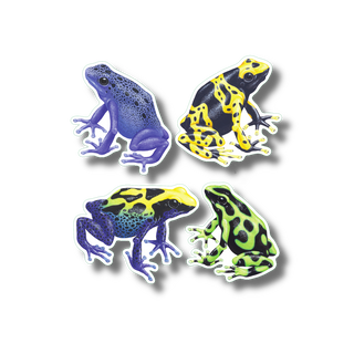 Poisonous frogs stickers on durable vinyl featuring colorful frog species