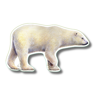 Polar bear stickers made in the USA on durable, water-resistant vinyl