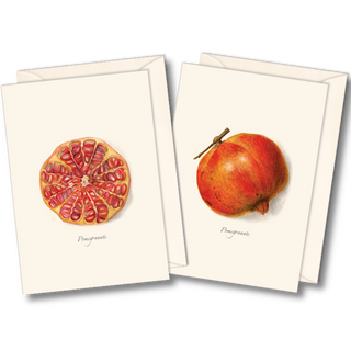 Pomegranate assortment notecards celebrating bold fruit forms, packaged in a recyclable box