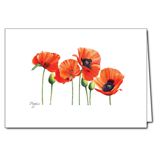 Poppies greeting card showcasing bold seasonal blooms