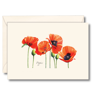 Poppies notecard celebrating bold wildflowers, illustrated by expert artists