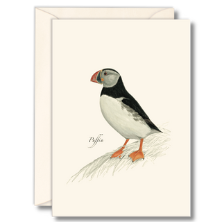 Puffin notecard inspired by seabird colonies