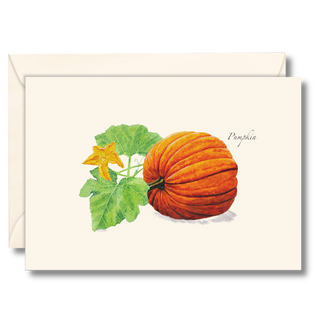 Pumpkin notecard illustrated by experts, printed on recycled and recyclable paper